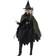 California Costumes Gothic Witch Costume