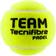 Tecnifibre Team - 3 Balls