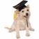 Rubies Graduation Hat for Dog & Cat Costume