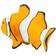 Safari Clown Anemonefish 204129