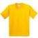 Gildan Kid's Soft Style T-shirt 2-pack - Daisy