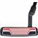 Ray Cook SR200 Putter