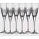 Waterford Mara Flute Champagne Glass 29.5cl 6pcs