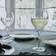 Waterford Irish Lace White Wine Glass 2pcs