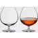 Waterford Elegance Brandy Red Wine Glass 2pcs