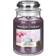 Yankee Candle Berry Mochi Scented Candle 623g