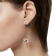Swarovski Hollow Drop Earrings - Rose Gold/Transparent