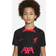 Nike Liverpool FC Dri Fit Strike 22/23 Kids