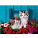 Ravensburger Kittens & Roses 500 Pieces