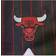 Mitchell & Ness Chicago Bulls 1996/97 Hardwood Classics Authentic Shorts Sr