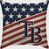 MLB Tampa Bay Rays Glory and Honor Americana Complete Decoration Pillows Multicolour (45.72x45.72cm)