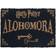 Harry Potter Alohomora Multicolour 40x60cm