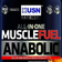 USN Muscle Fuel MFA Mass Gainer 2kg