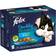 Purina Felix Doubly Delicious Fish Selection Wet Cat Food 12x100g