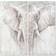 Dkd Home Decor Elephant Colonial Framed Art 120x120cm 2pcs