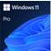 Microsoft Windows 11 Pro-64-bit