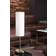 Eglo Troy White/Brushed Steel Table Lamp 46cm