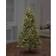 Premier Decorations Multi-Function 2000 LED Christmas Tree Light