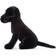 Jellycat Pippa Black Labrador 24cm