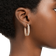 Swarovski Dextera Hoop Earrings - Gold/Transparent