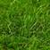 vidaXL Artificial Grass