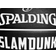 Spalding Slam Dunkc5
