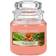 Yankee Candle The Last Paradise Scented Candle 411g