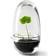 Design House Stockholm Grow Mini Greenhouse S Glass