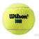 Wilson Tour Premier All Court - 4 Balls