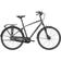 Trek District 2 Equipped With Shimano Nexus 7v Lithium City Bike 2022 -Gray Men's Bike