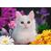 Ravensburger White Kitten Glitter XXL 100 Pieces