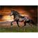 Educa Trotting Horse 1000 Pieces