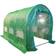 Birchtree Polytunnel Greenhouse 4x2m Stainless steel Plastic