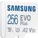 Samsung EVO Plus UHS-I 256GB