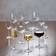Villeroy & Boch Ovid Champagne Glass 25cl 4pcs