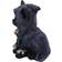 Nemesis Now Feline Cloaked Grim Reaper Cat Figurine 20.1cm