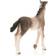 Schleich Andalusian Foal 13822