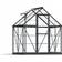 Palram Canopia Harmony 6 4 Greenhouse Structure Clear Panels