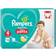 Pampers Baby Dry Nappy Pants Size 4 38pcs