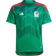 adidas Mexico National Team 2022/23 Home Blank Replica Jersey