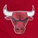 Mitchell & Ness Chicago Bulls Team Heritage Woven Short