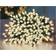 Premier 1000 TreeBrights Green Christmas Tree Light 1000 Lamps