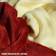 MikaMax Snugs Blankets Beige (180x140cm)