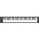 Blackstar Carry-on 49 Note Folding Usb Bluetooth Controller Keyboard