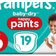 Pampers Baby Dry Pants Size 6 14-19kg 19pcs