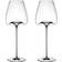 Zieher Vision Intense White Wine Glass 64cl 2pcs