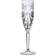 RCR Oasis Champagne Glass 16cl 6pcs