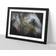 East Urban Home Colourful Elephant Black Framed Art 63x45cm