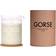 Gorse Beige Scented Candle 200g