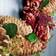 Festive Wreath Pine Cones and Berries Gold/Red Decoration 36cm